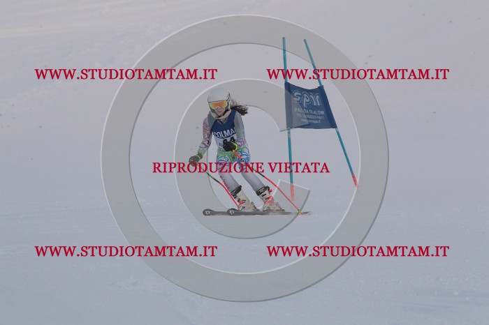 MAT_0401.JPG