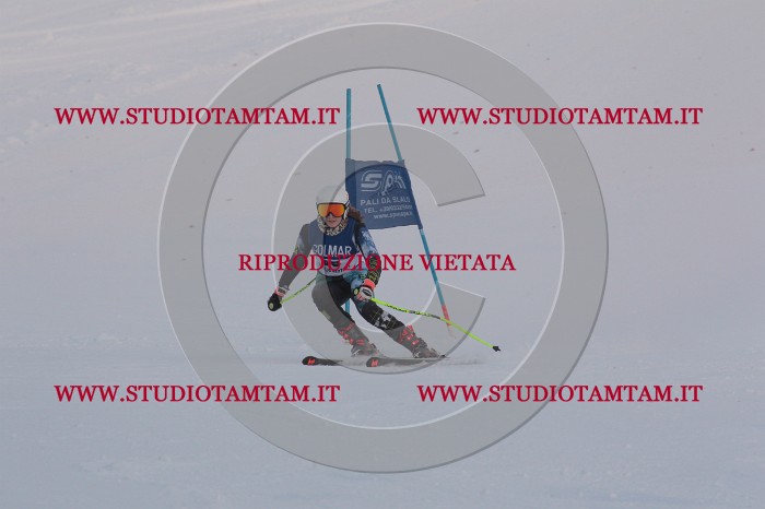 MAT_0427.JPG