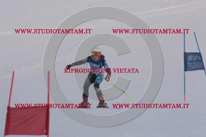 MAT_0428.JPG