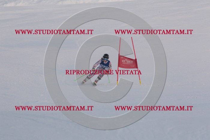 MAT_0444.JPG