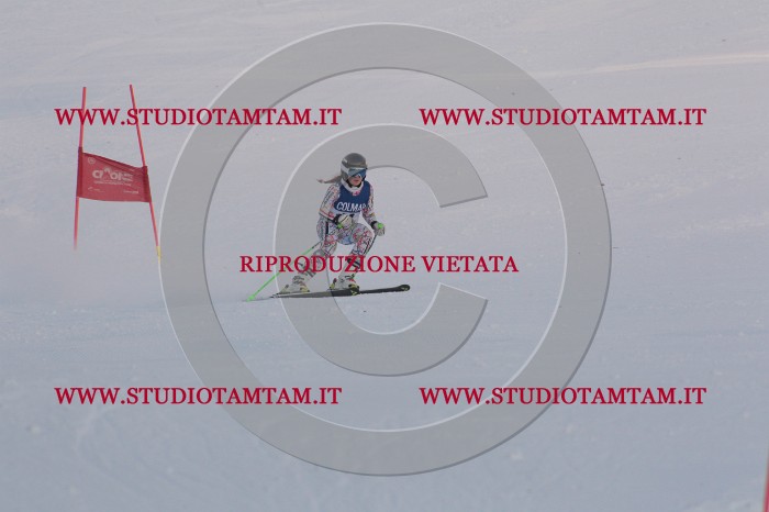 MAT_0446.JPG