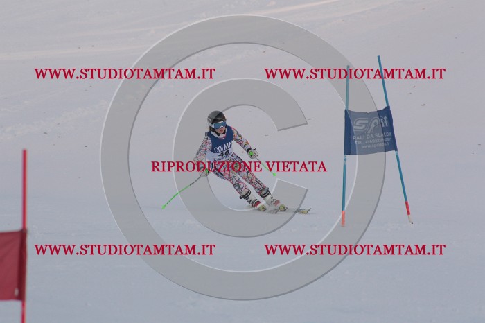 MAT_0447.JPG