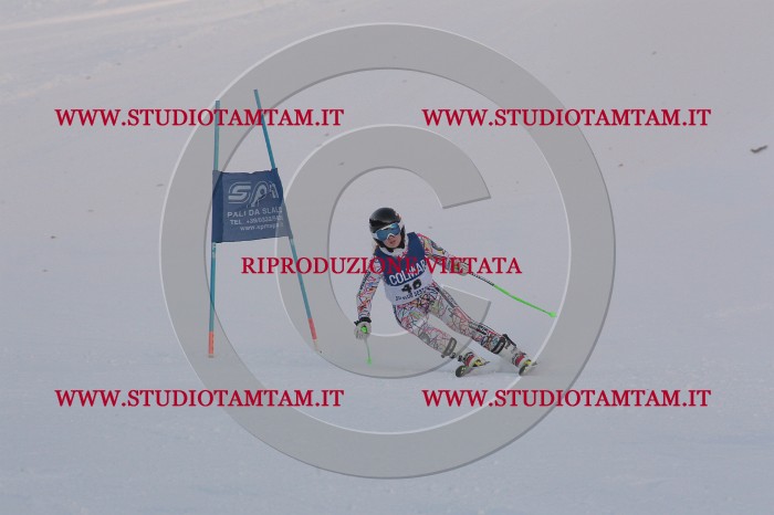 MAT_0449.JPG