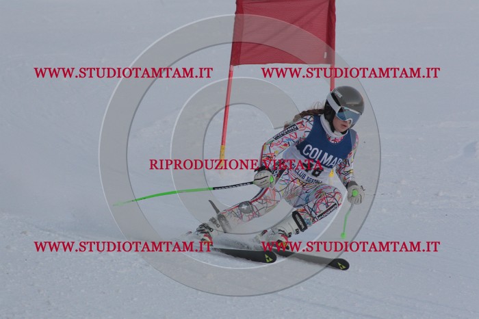 MAT_0454.JPG
