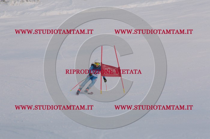 MAT_0463.JPG