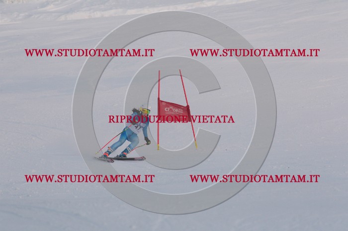MAT_0464.JPG