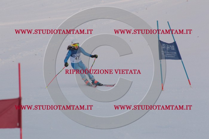 MAT_0466.JPG