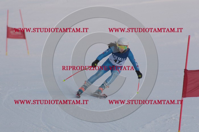 MAT_0470.JPG