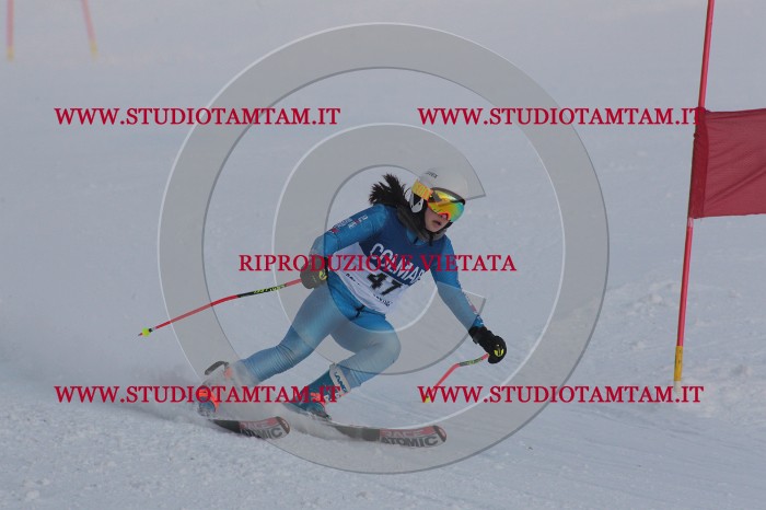 MAT_0472.JPG