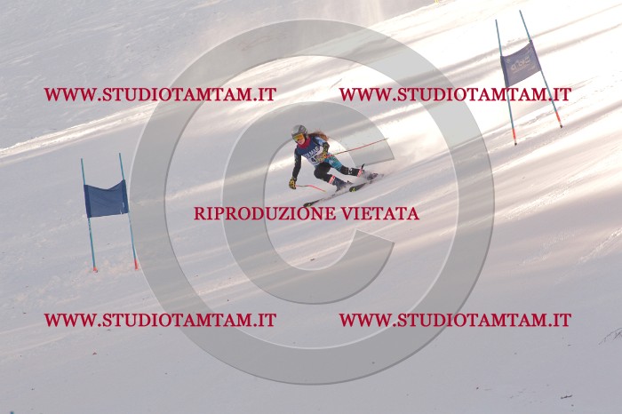 MAT_0478.JPG