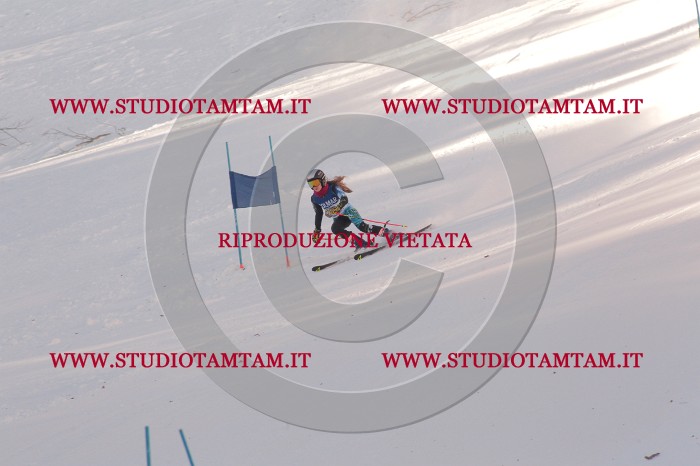 MAT_0479.JPG