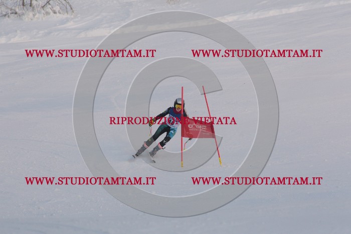 MAT_0480.JPG
