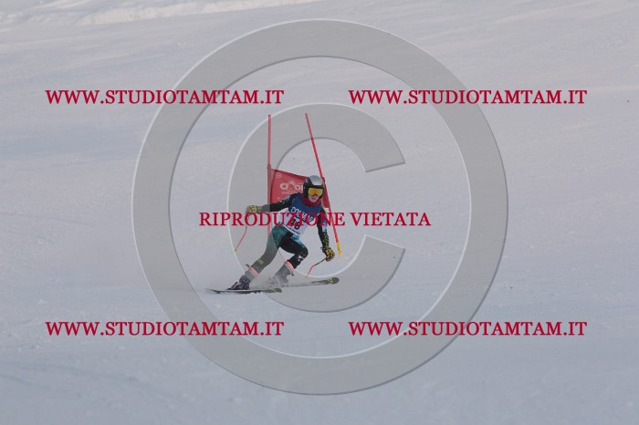 MAT_0482.JPG