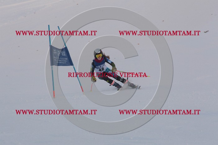 MAT_0484.JPG
