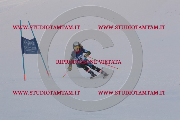 MAT_0485.JPG