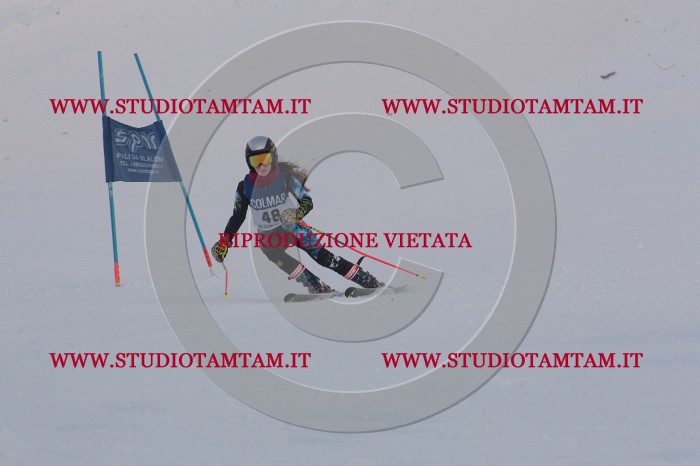 MAT_0486.JPG