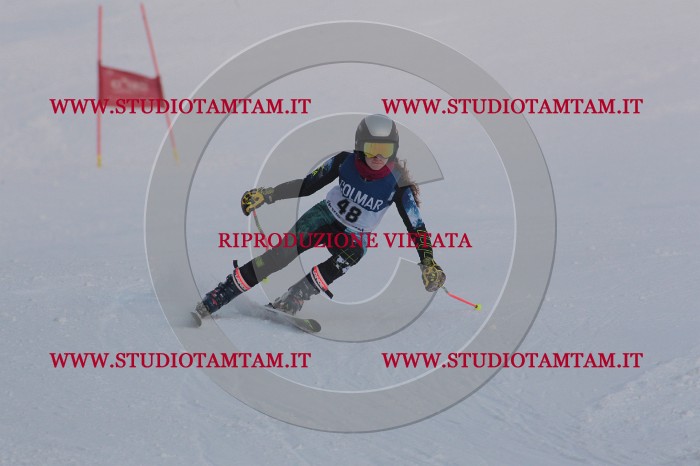 MAT_0489.JPG