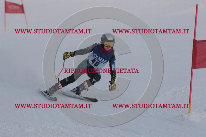 MAT_0490.JPG