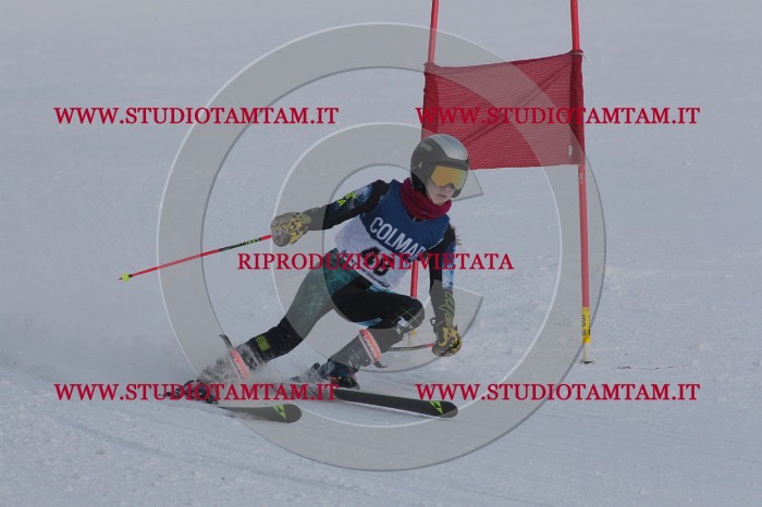 MAT_0491.JPG