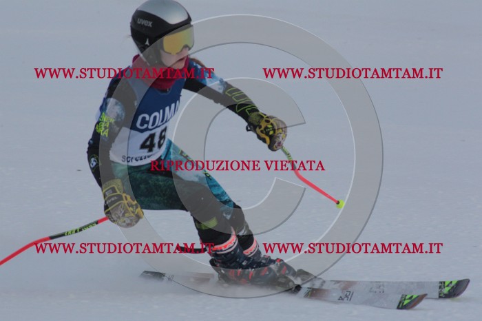MAT_0492.JPG