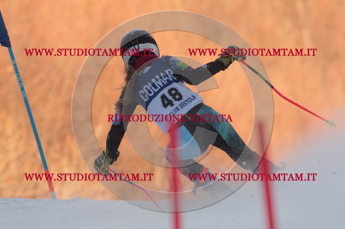 MAT_0494.JPG