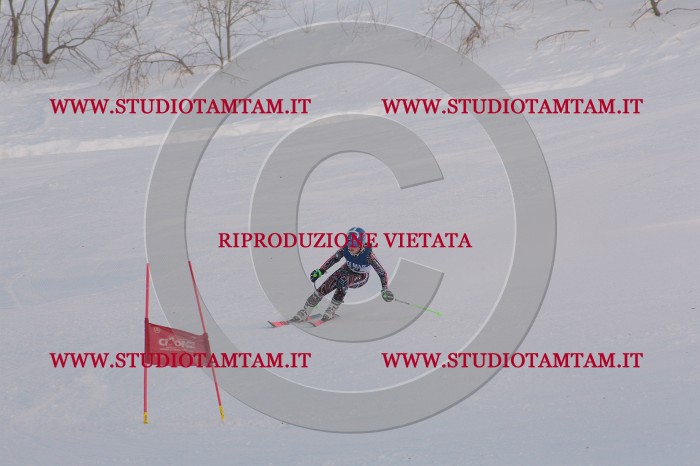 MAT_0500.JPG