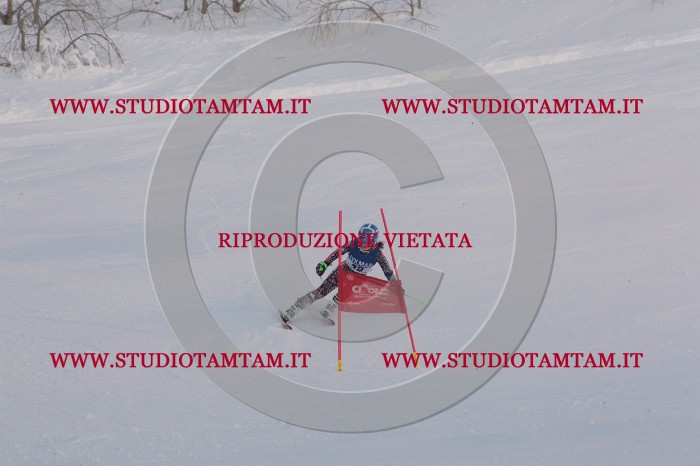 MAT_0501.JPG