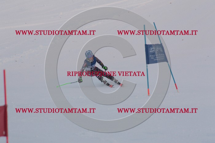 MAT_0506.JPG