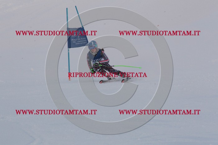 MAT_0509.JPG