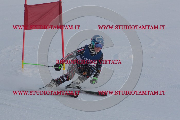 MAT_0515.JPG