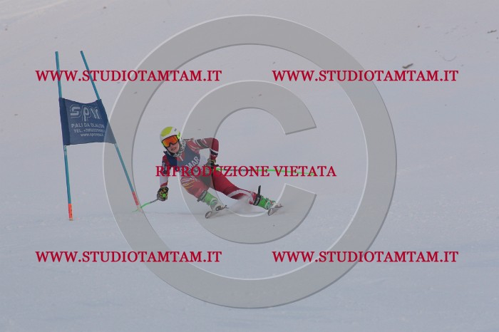 MAT_0533.JPG