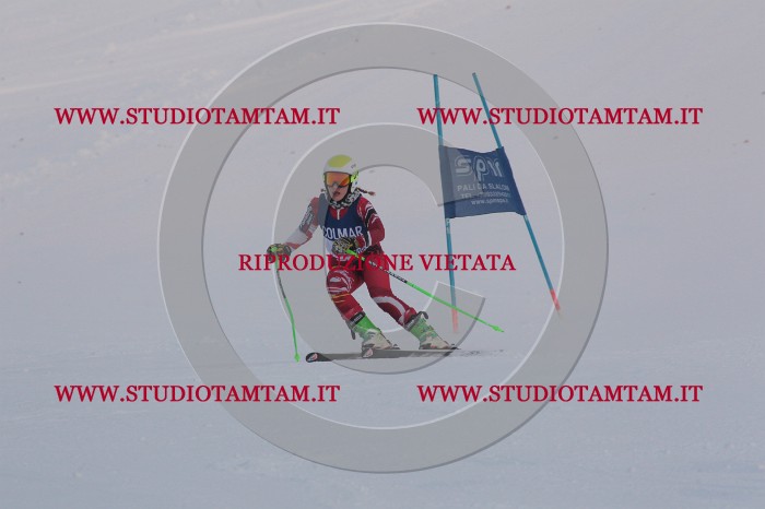 MAT_0535.JPG