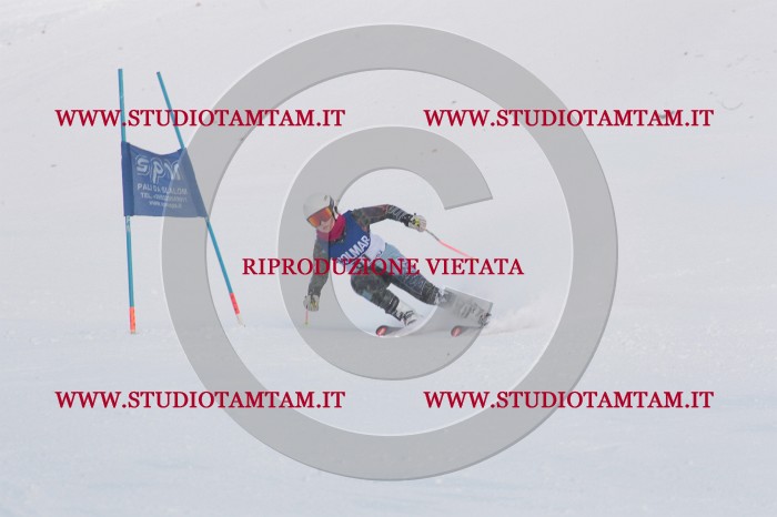 MAT_0550.JPG