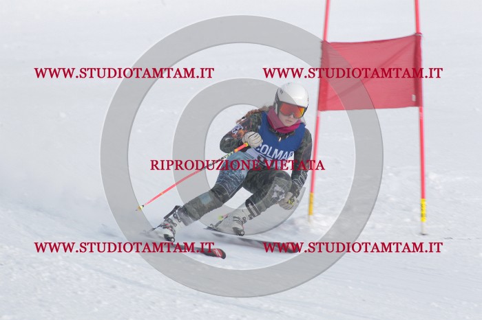 MAT_0554.JPG