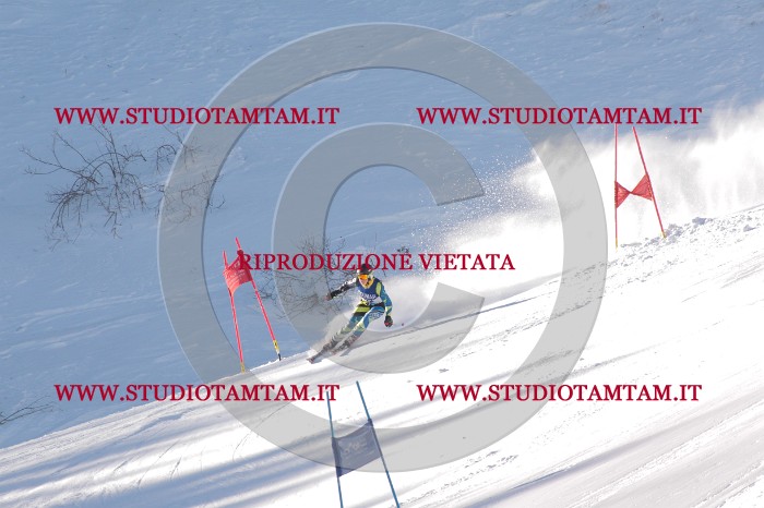 MAT_0559.JPG