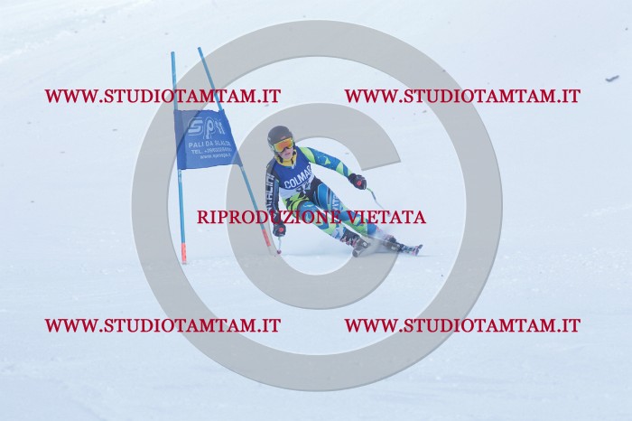 MAT_0567.JPG
