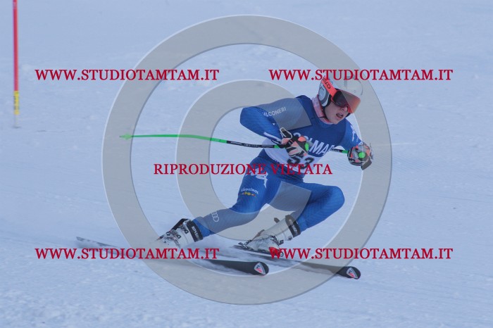 MAT_0597.JPG