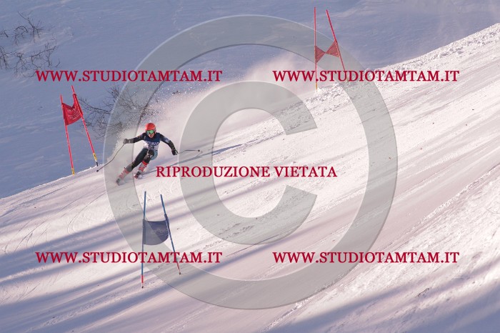 MAT_0601.JPG