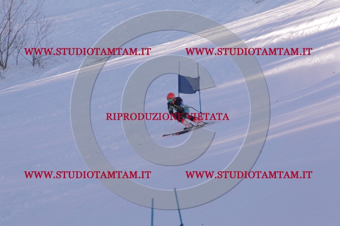 MAT_0605.JPG