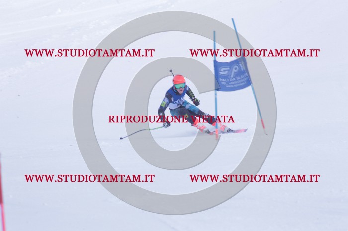 MAT_0608.JPG