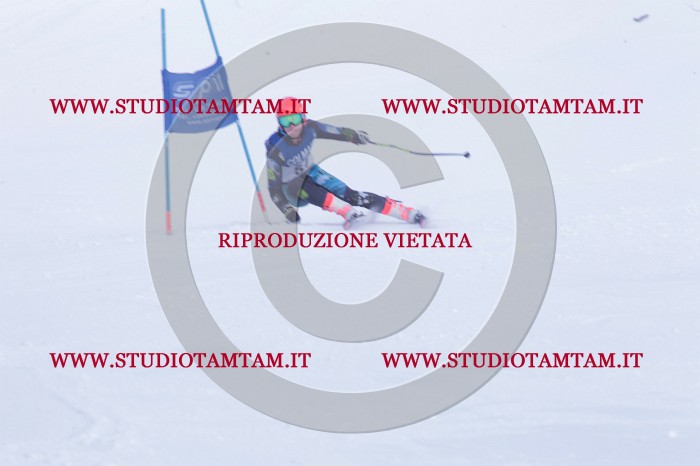 MAT_0610.JPG