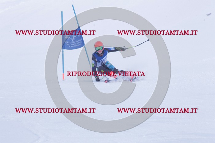 MAT_0611.JPG