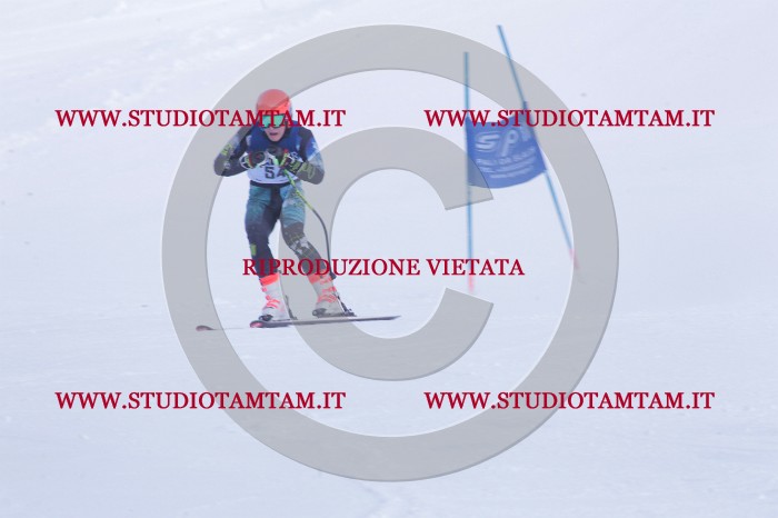 MAT_0612.JPG