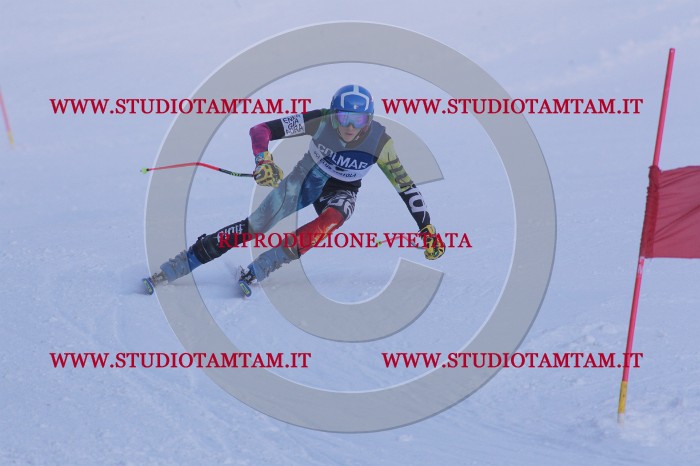 MAT_0633.JPG
