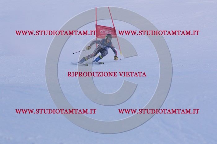 MAT_0646.JPG
