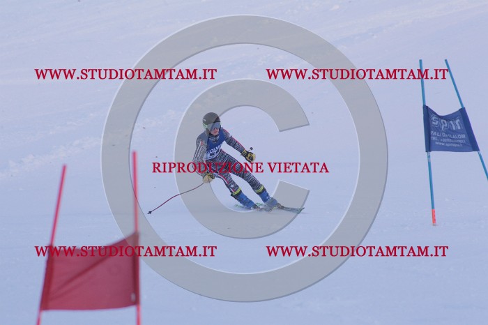 MAT_0649.JPG