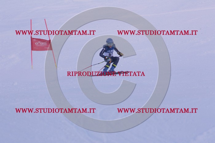 MAT_0671.JPG