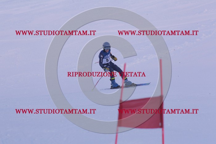 MAT_0672.JPG