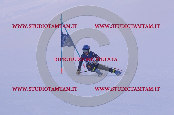 MAT_0675.JPG