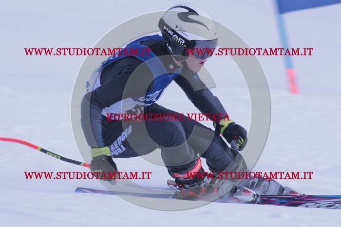 MAT_0705.JPG